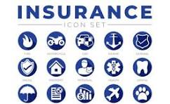Insurance Providers
